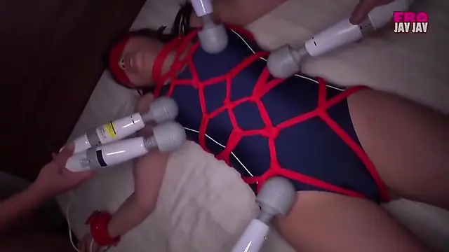 Desire Collection: Japanische unzensierte Bondage-Shibari-Kunst
